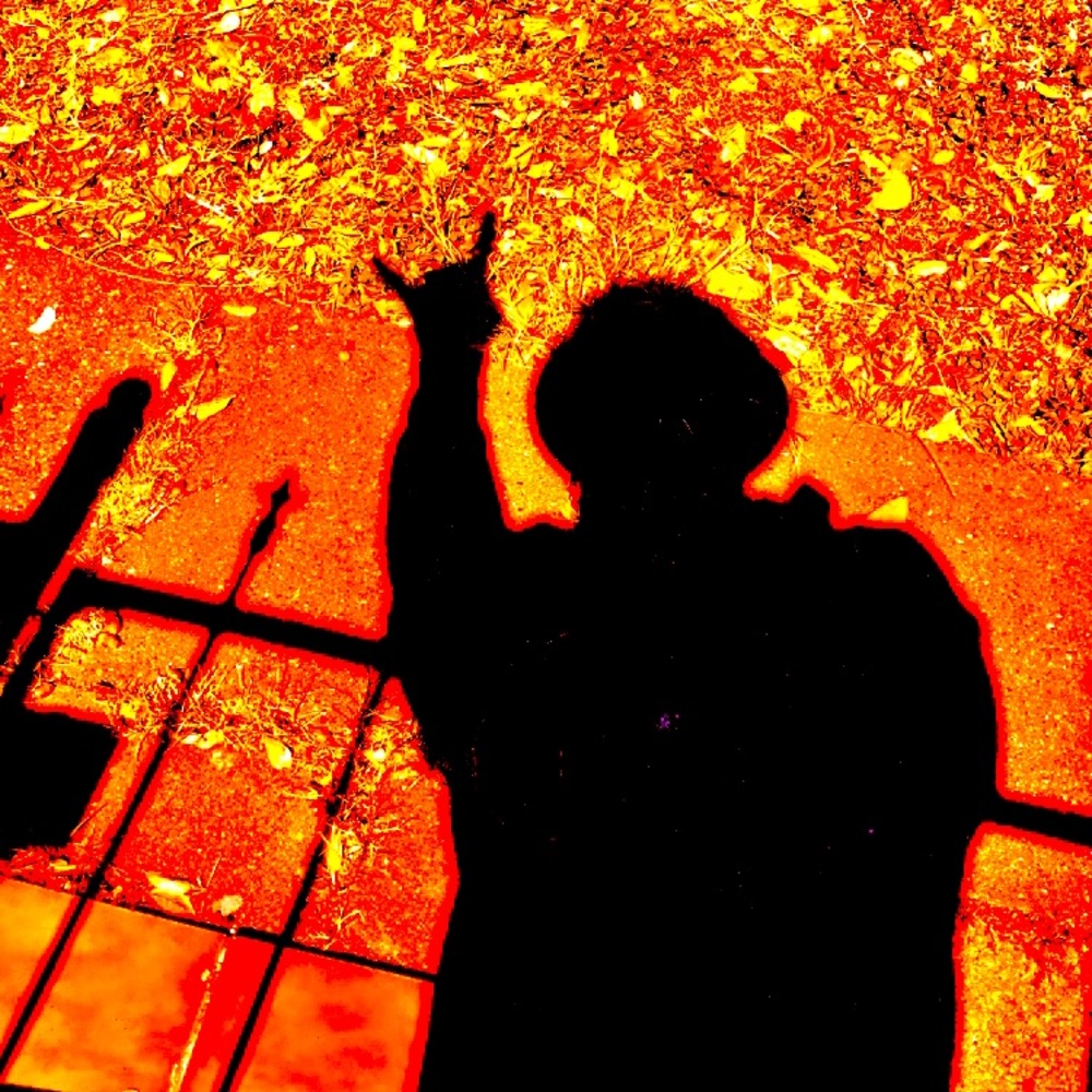 Meet your Posher, Jesse